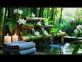 Calm Spa Retreat Unwind Your Mind and Rejuvenate Your Soul