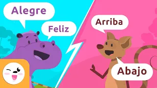 Los SINÓNIMOS y los ANTÓNIMOS | Recopilación | ¿Cuál es la diferencia entre sinónimo y antónimo?