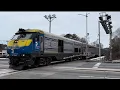 LIRR - LI and at Mastic-Shirley and at Grand Avenue 26