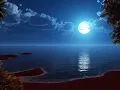 Frank Sinatra: Summer Wind