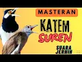 Download Lagu MASTERAN KAPAS TEMBAK GACOR VS JALAK SUREN GACOR JERNIH