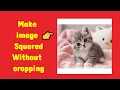 How to Make Image Square Without Cropping Free Batch Tool