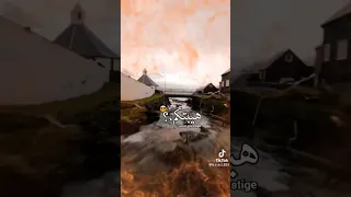 دايس على شاربكم 