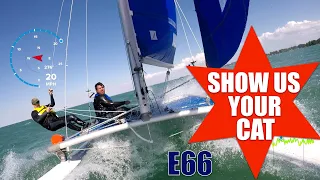 Show us your cat! Episode 66 USA and Canada