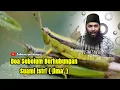 Lagu Doa Sebelum Berhubungan Intim - Ustad Syafiq Riza Basalamah. MA  ||  #saddarasyadmengaji