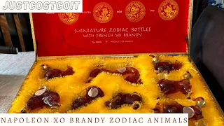 Napoleon XO Brandy Zodiac Signs 12x100ML from Costco
