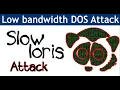 DOS Attacking Slowloris
