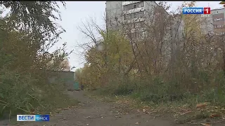 Стали известны новые подробности нападения собаки на подростка в Советском округе