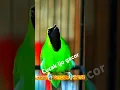Download Lagu MASTERAN CUCAK IJO GACOR COCOK BUAT MANCING CUCAK IJO YANG MACET BUNYI
