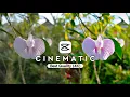 Cara Edit Video Cinematic Hight Quality Di Capcut | Edit Video Burik Jadi Jernih