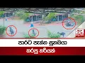 Download Lagu පාරට පැන්න සුනඛයා කරපු හරියක්