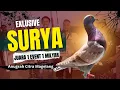 Download Lagu 🔴 SURYA JUARA 1  EVENT 1 MILYAR TERNYATA BARU 3 X LOMBA ‼️TEAM ANUGRAH CITRA MAGELANG