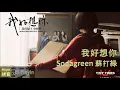 Download Lagu Sodagreen 蘇打綠 – 我好想你 I Miss You Wo Hao Xiang Ni (Pinyin+English Lyrics)
