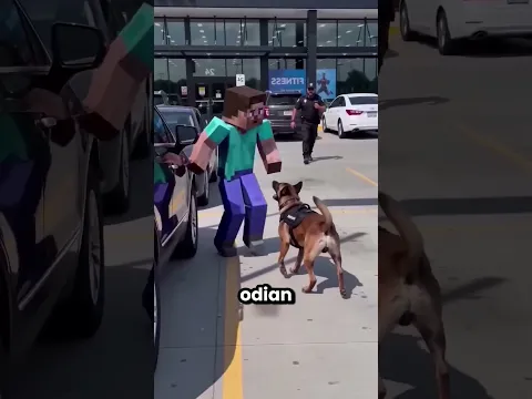 Steve De Minecraft Salió Al Mundo Real 😱