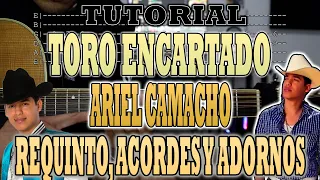 toro encartado ariel camacho requinto acordes y adornos tutorial con tabs
