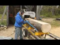 A Large Pair is what I m Logs Frontier OS27 Sawmill