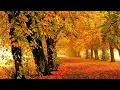 Download Lagu Невероятно красивая  осенняя мелодия! Сергей Чекалин - осень!