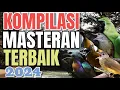 Download Lagu LANGSUNG MONCER MENYALA!! Masteran kombinasi Tembakan Kasar Untuk Semua Burung Murai Batu #209