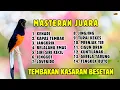 Lagu 🔴 MASTERAN JUARA ‼️ MASTERAN MURAI BATU GACOR