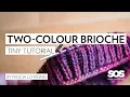 How to Knit Two-Colour Brioche in the Round School of SweetGeorgia Tiny Tutorial