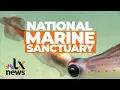 The Newest National Marine Sanctuary Could Be the Hudson Canyon LX News