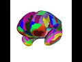 Inflate a Freesurfer brain from the pial surface