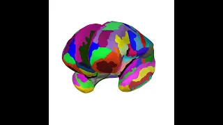 Inflate a Freesurfer brain from the pial surface