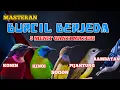 Download Lagu 2 jam Masteran BURCIL tiap 5 menit ganti materi kombinasi Konin,Kinoi,Sogon,Pijantung dan Rambatan