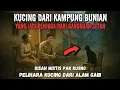 KISAH MISTIS PAK KUSNO PELIHARA KUCING DARI ALAM GAIB
