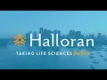 We are Halloran Consulting Group