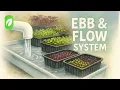 What is Ebb Flow Hydroponics