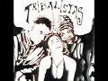 TRIBALISTAS - Ja Sei Namora