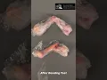 Chicken bone Failure test - Mechanics of Materials