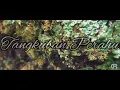 Download Lagu Tangkuban Perahu video Cinematic