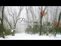 Download Lagu Perasaanku cover by Mudcha oa Fieya Julia