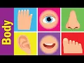 My Body Vocabulary Chant for Kindergarten Kids Fun Kids English