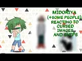 - Midoriya Some people Reacting To Cursed Images and Ships -