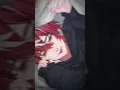 Download Lagu jj vtuber Harris Caine ❤🤍