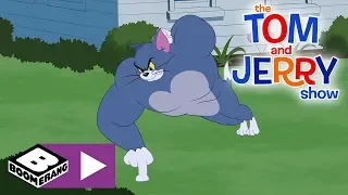 The Tom And Jerry Show Tom The Gym Cat Boomerang UK 