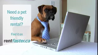 Pet Friendly Rental