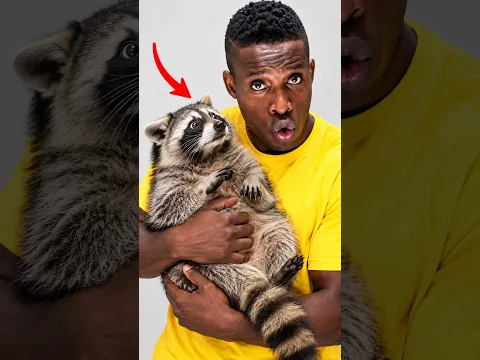 Godfrey's Raccooning Is WORSE Than We THOUGHT!