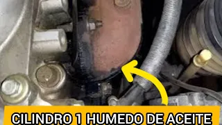 El Auto Consume Aceite en Motor Diesel por Cilindro 1