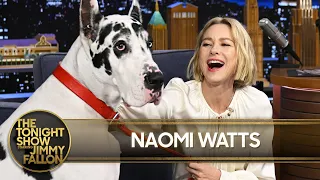Naomi Watts Invites Jimmy to Perform a Song with Her 150lb Great Dane Co-star Bing Extended