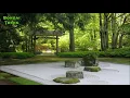Download Lagu Beautiful Japanese Music 2019 | Koto Music \u0026 Shakuhachi Music