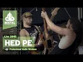 Brutal Assault 20 - Hed PE (live) 2015