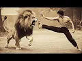 Download Lagu Momente Bruce Lee Pe Care Știința NU Le Poate Explica