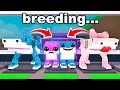 Download Lagu Steal A Brainrot, But My Brainrots Can Breed