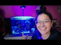 This CURED My Reef Tank Outbreak