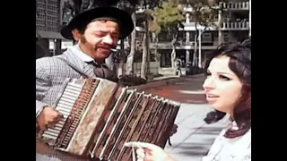 دوارين فى الشوارع      نجاة    دندنها