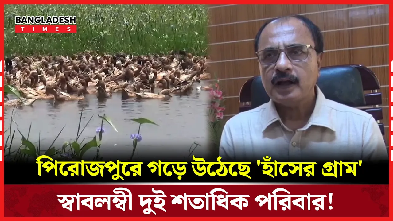 হাঁসই বদলে দিয়েছে ভাগ্য, স্বপ্ন এখন বাস্তব!